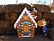 Gingerbread house and Sally Brown